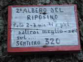 06 Secondo albero del riposino
